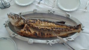 Sardines
