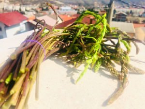 wild asparagus