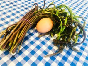 wild asparagus
