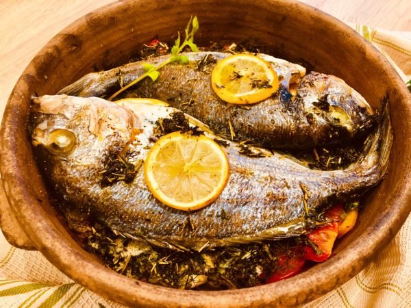 Gilt-head bream
