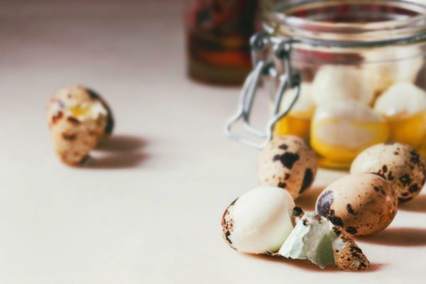 Pickled eggs
