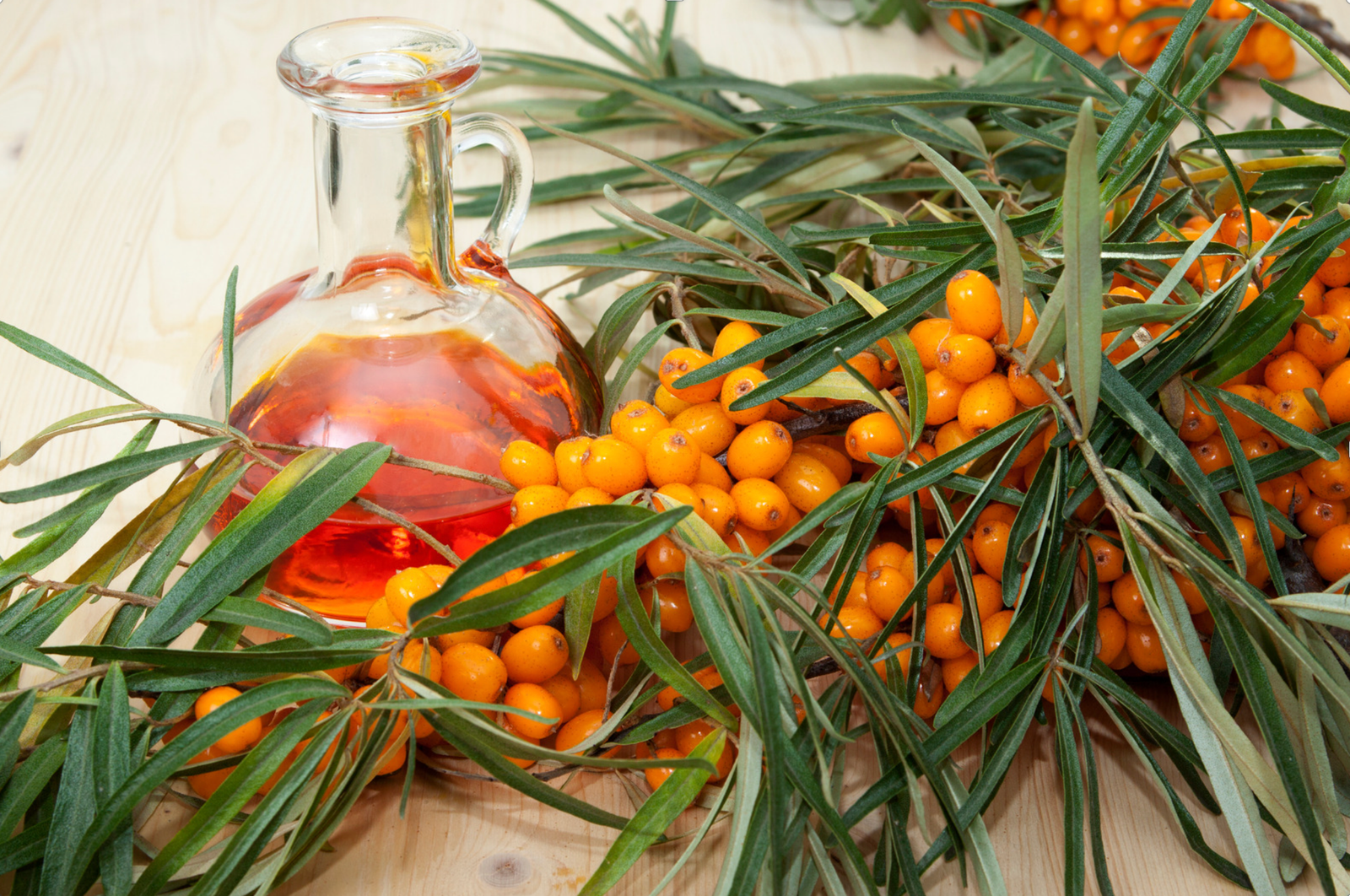 sea buckthorn oil