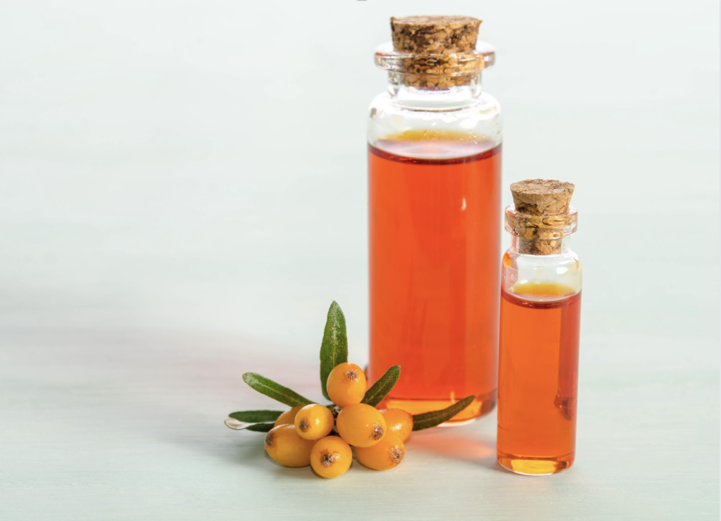 Sea Buckthorn